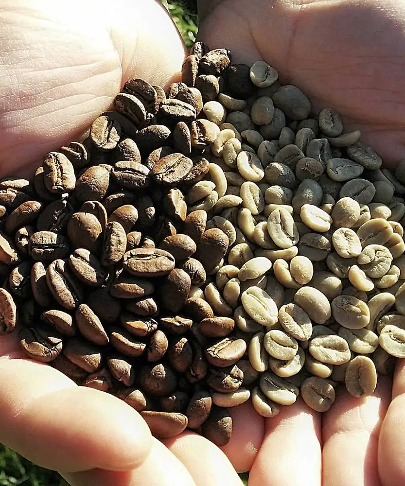Foto Caffè Italia
