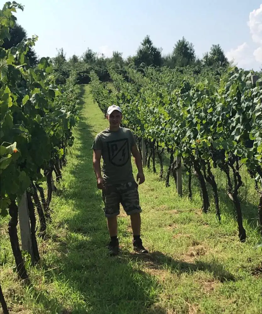 Foto Cantine Il Moro