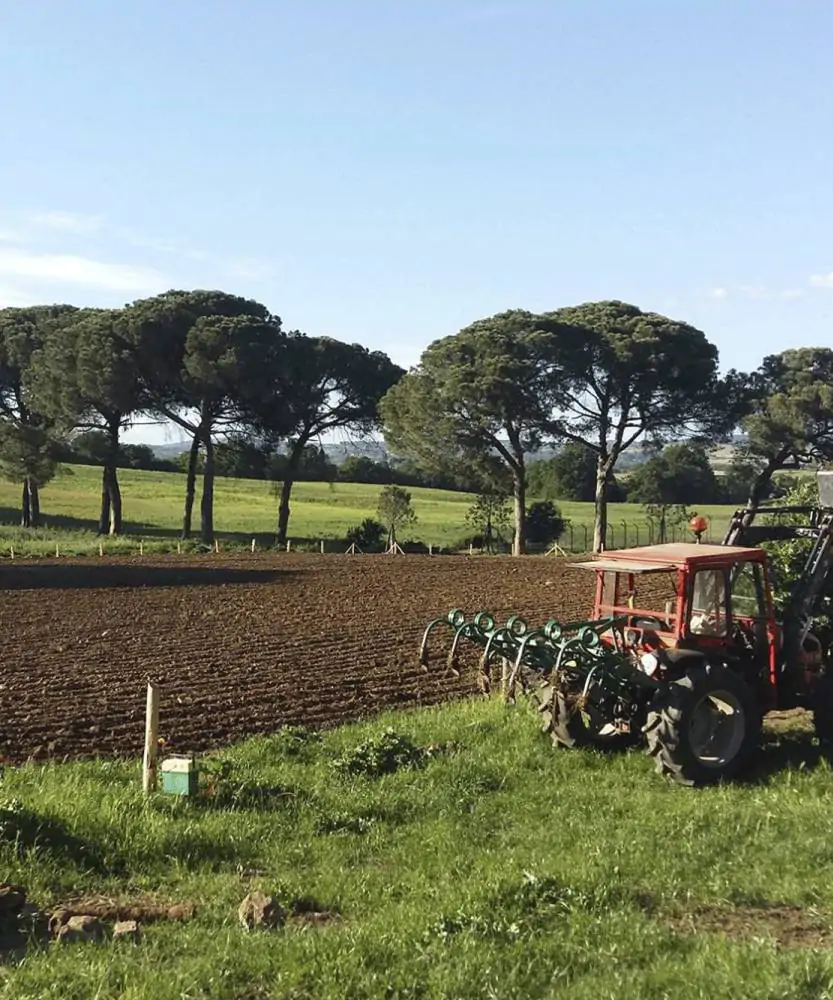 Foto Cooperativa Agricola Cor.ag.gio.