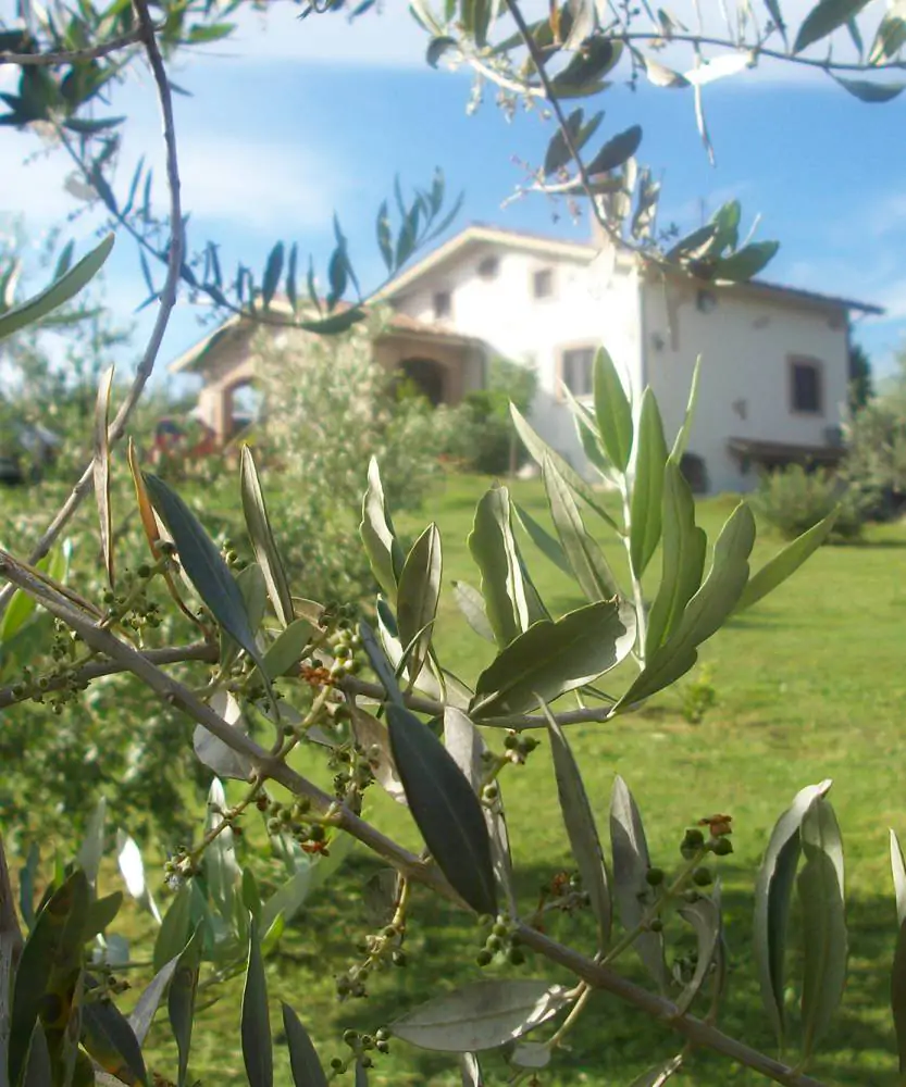 Foto Oro della Sabina