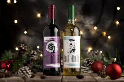 Immagine rappresentativa del prodotto Cesto Regalo Bio diVino