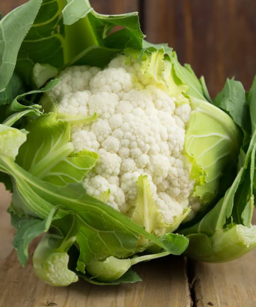 Foto Cavolfiore bianco