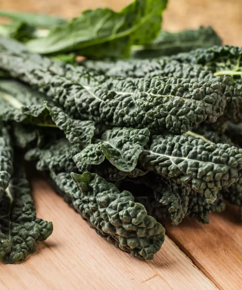 Foto Cavolo nero BIO 