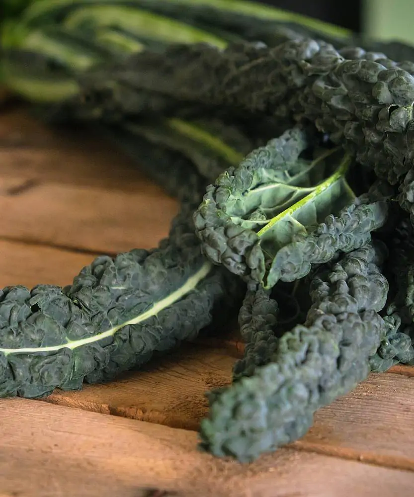 Foto Cavolo nero toscano BIO