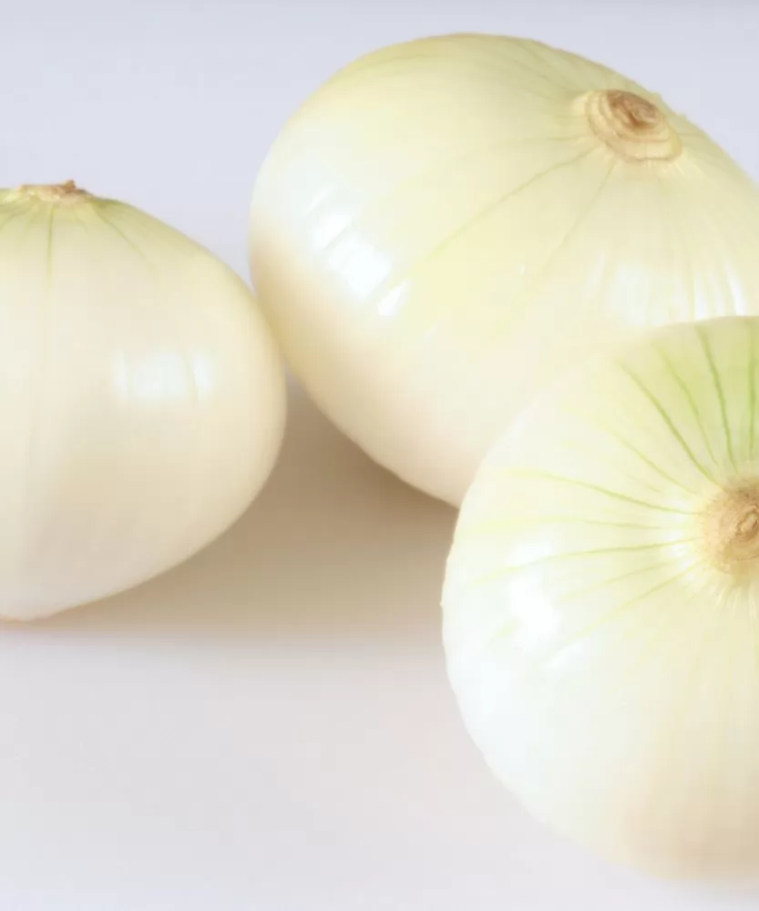 Foto Cipolla bianca da forno BIO 