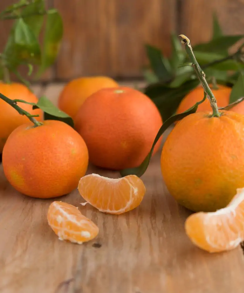 Foto Clementine non trattate