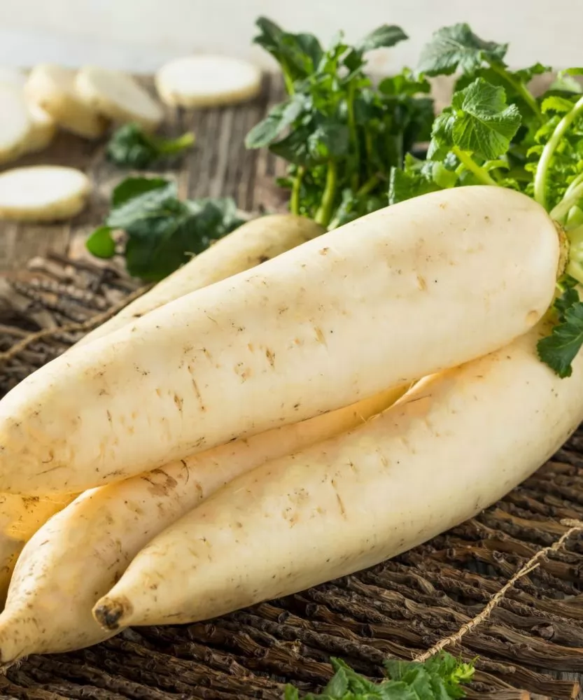 Foto Daikon - Ravanello bianco 