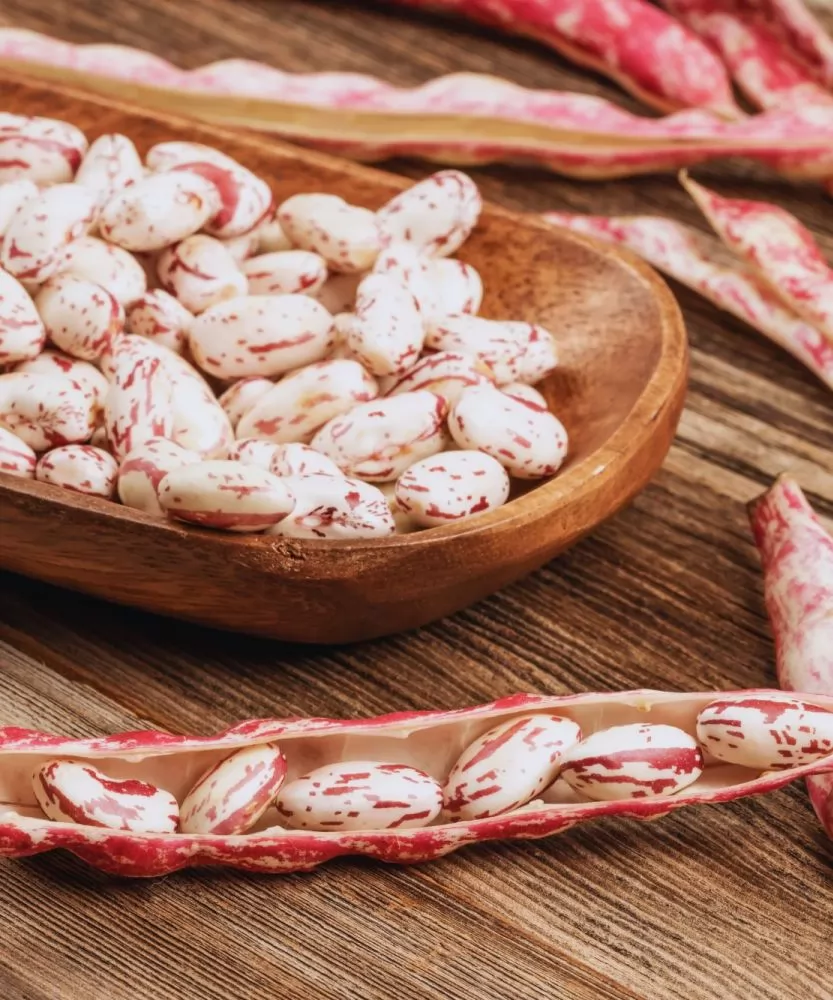 Foto Fagioli borlotti freschi BIO