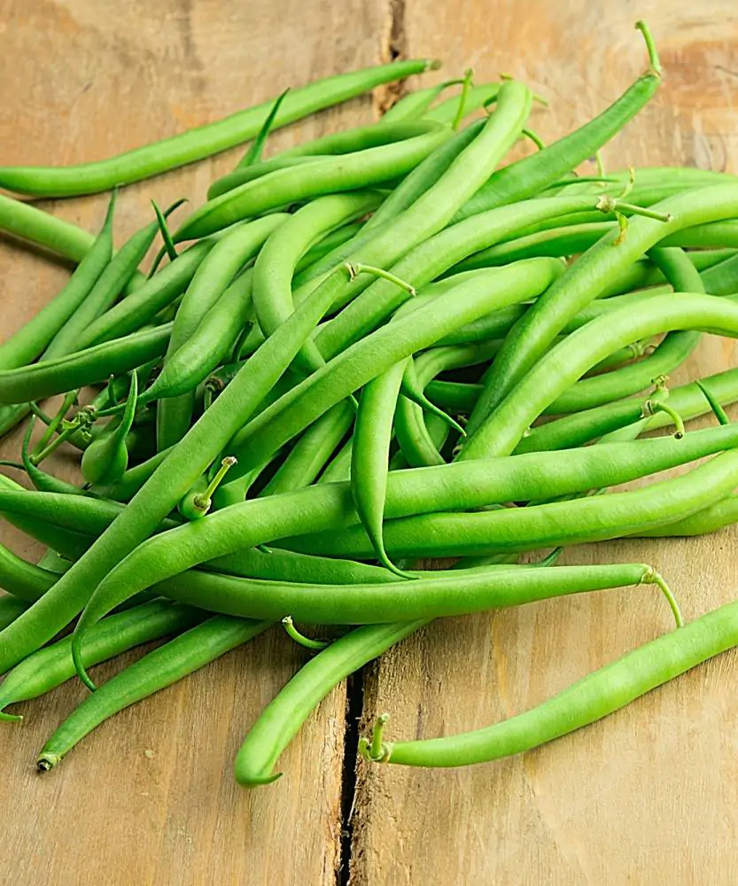 Foto Fagiolini fini BIO