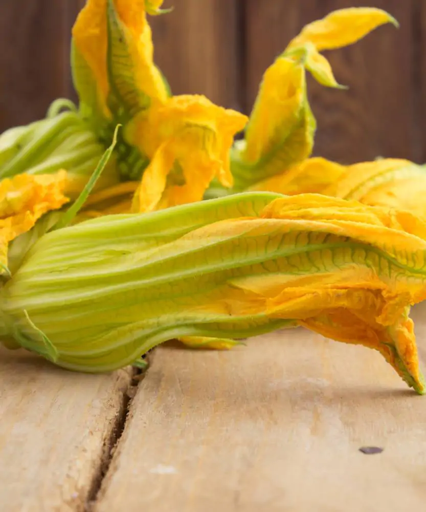 Foto Fiori di Zucca 10pz BIO