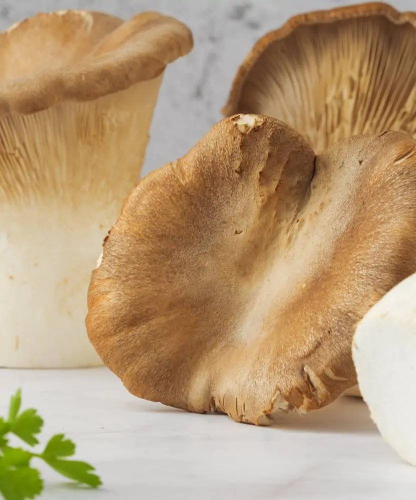 Foto Funghi Cardoncelli freschi 