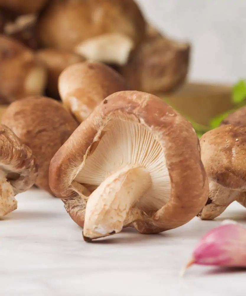 Foto Funghi Shiitake freschi BIO 