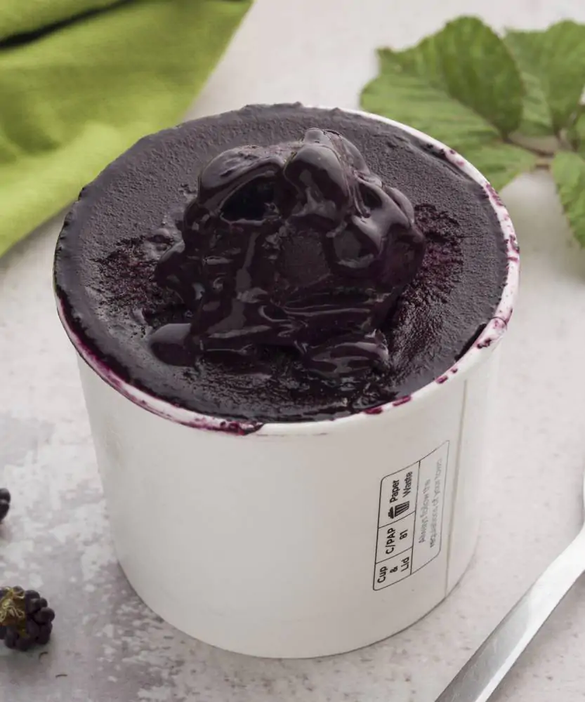 Foto Sorbetto artigianale alle More Selvatiche BIO 