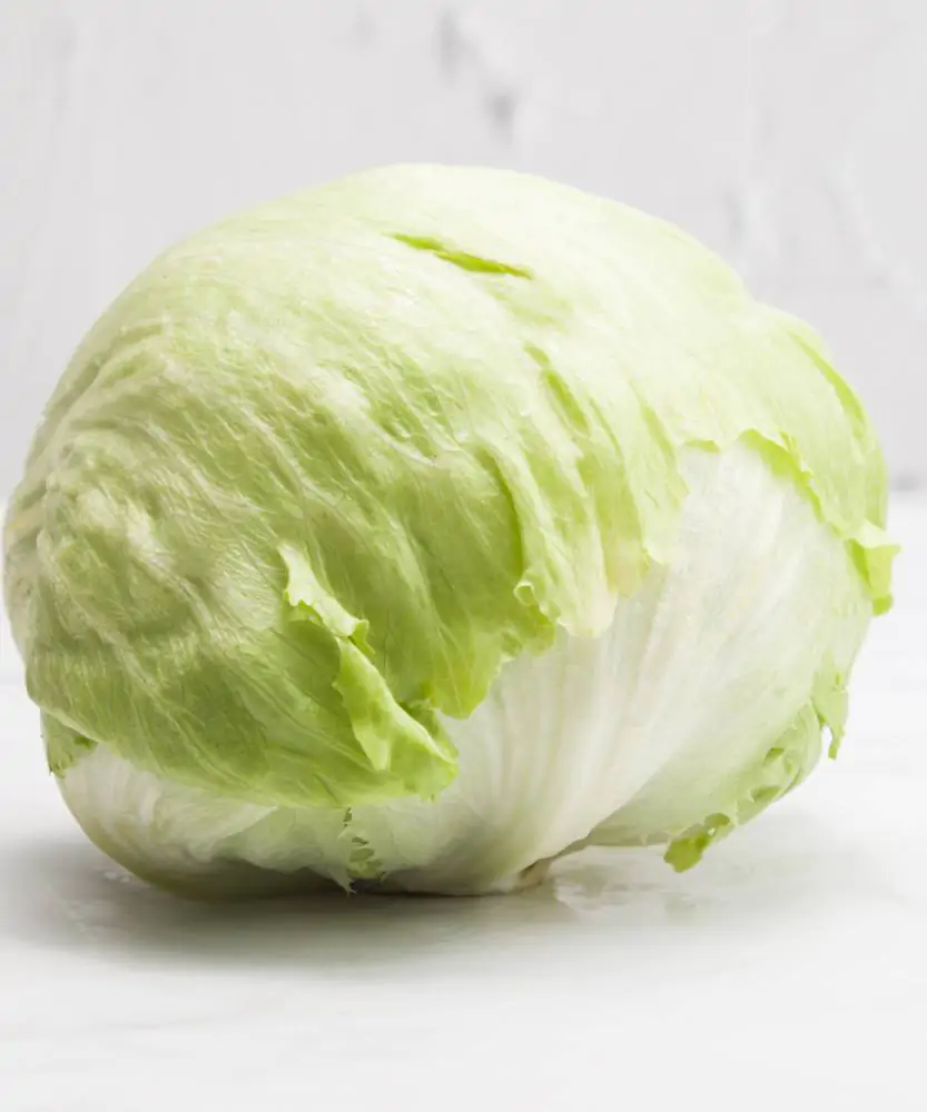 Foto Lattuga Iceberg 