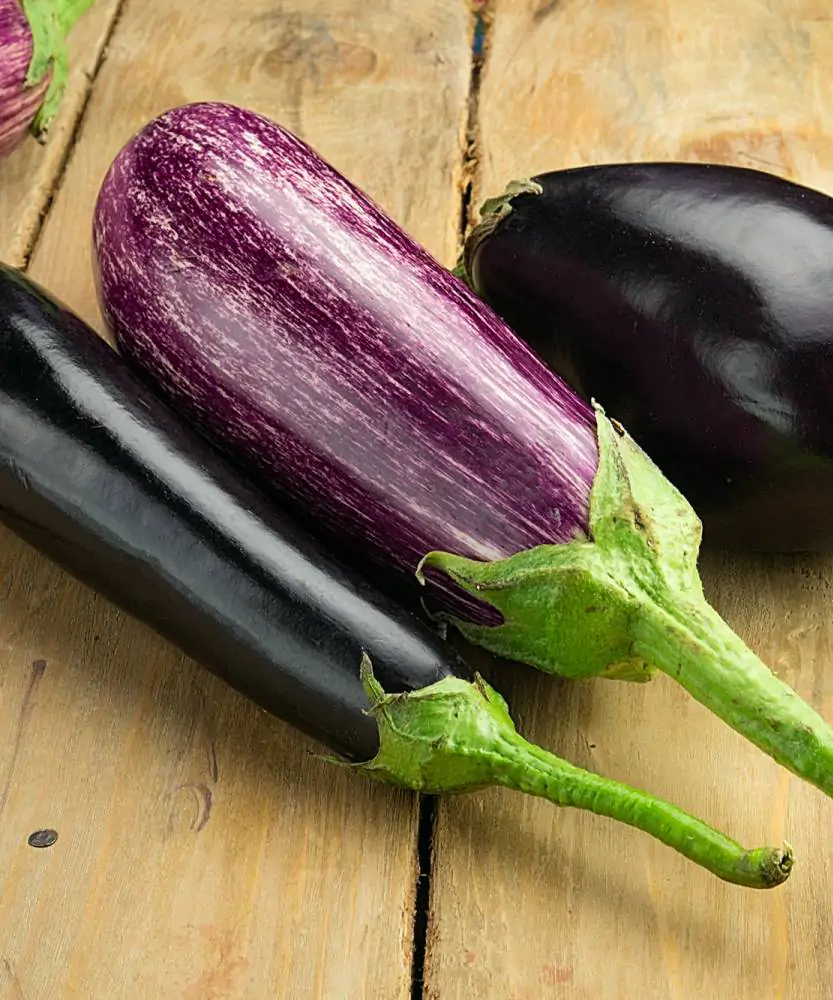 Foto Melanzane BIO - 2kg