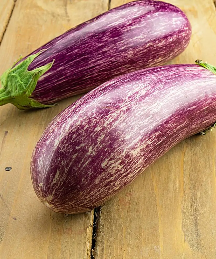 Foto Melanzane viola BIO