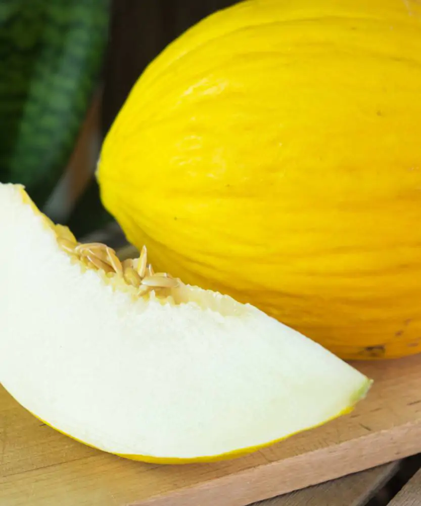Foto Melone giallo 