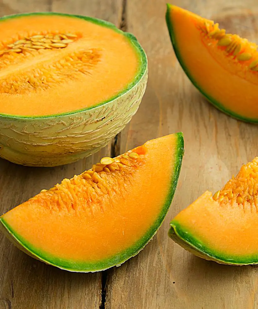 Foto Melone retato 