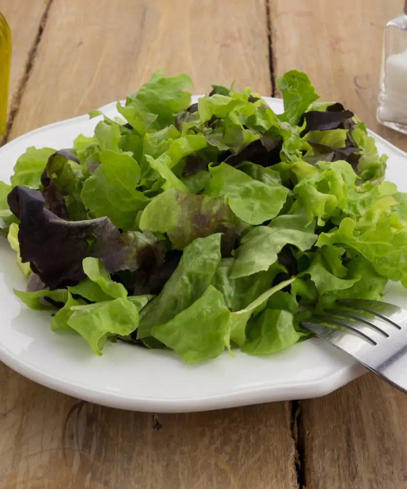 Foto Mix insalate tenere già tagliate BIO