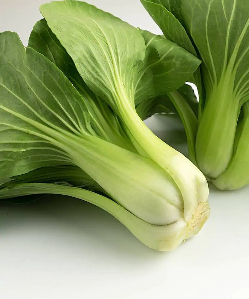 Foto Pak choi BIO 