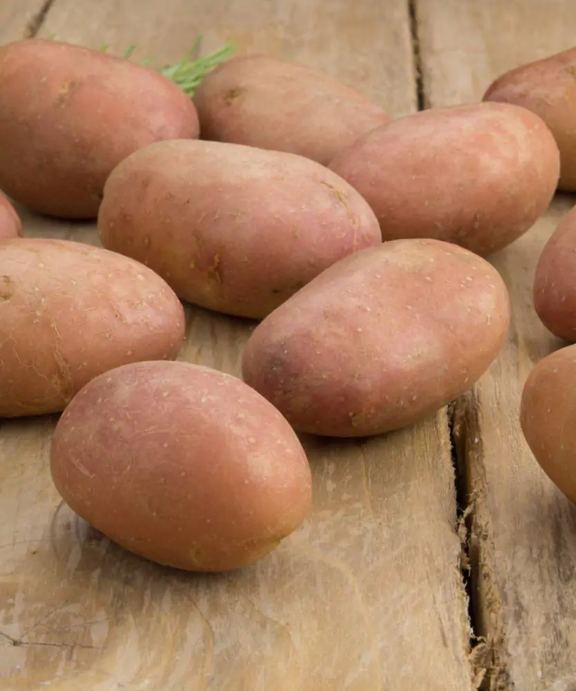 Foto Patate novelle buccia rossa 