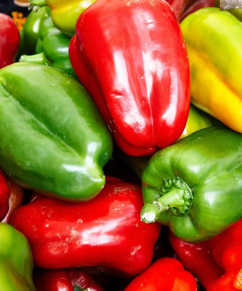 Foto Peperoni BIO 