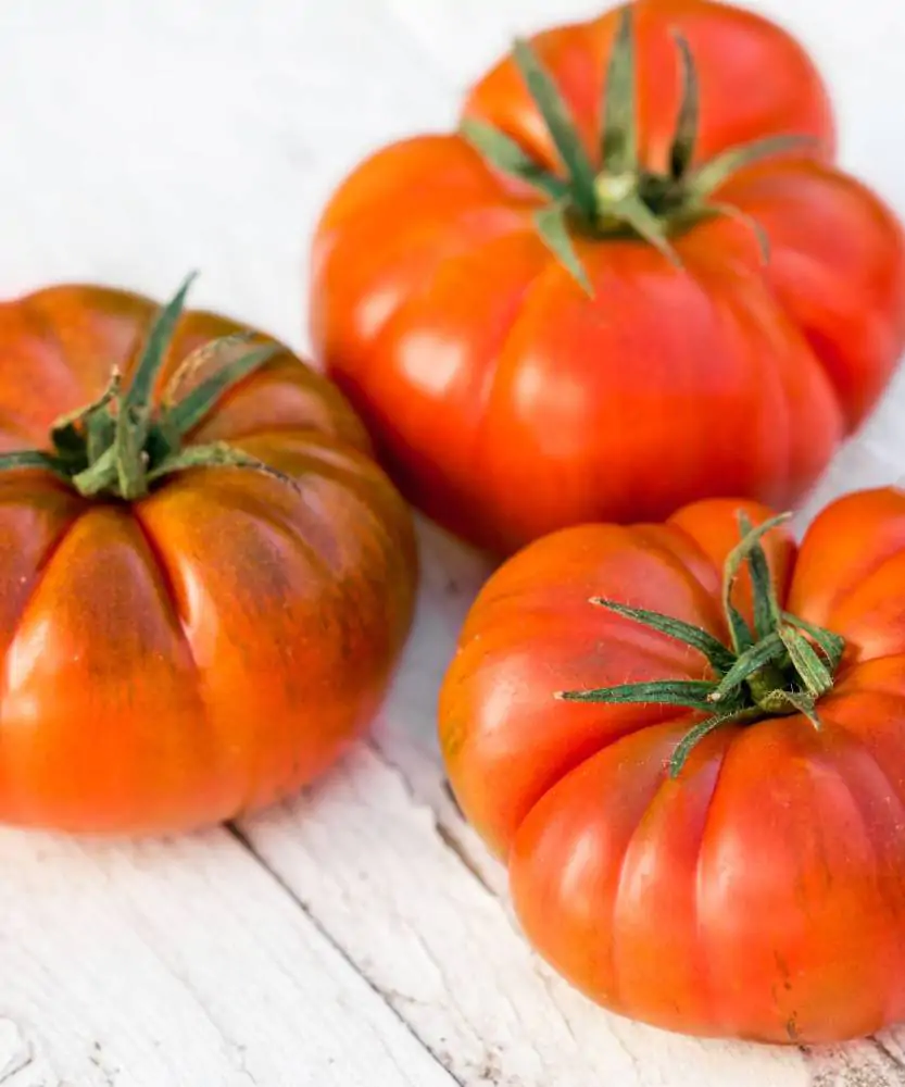 Foto Pomodori costoluti 
