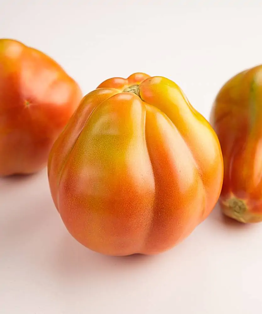 Foto Pomodori cuore di bue 