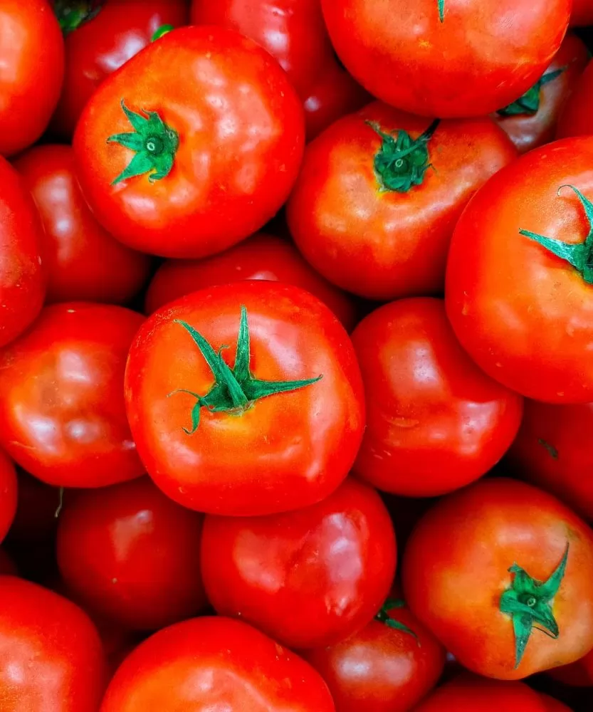 Foto Pomodori Salomone 