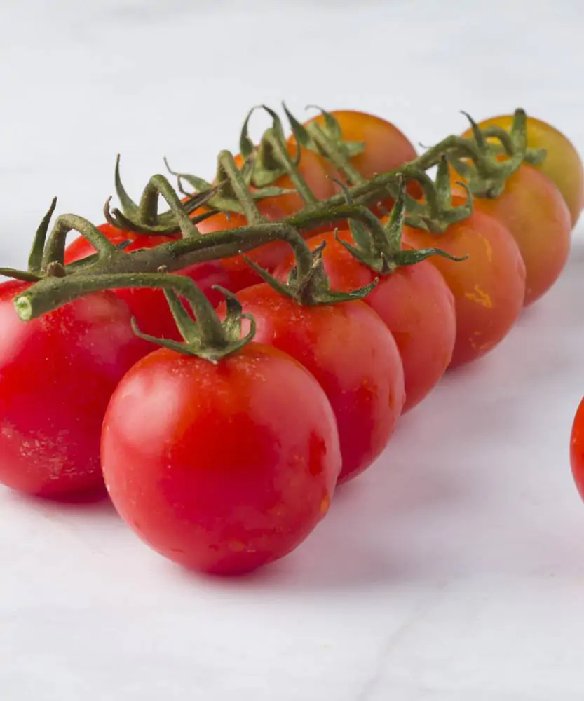 Foto Pomodoro ciliegino rosso 