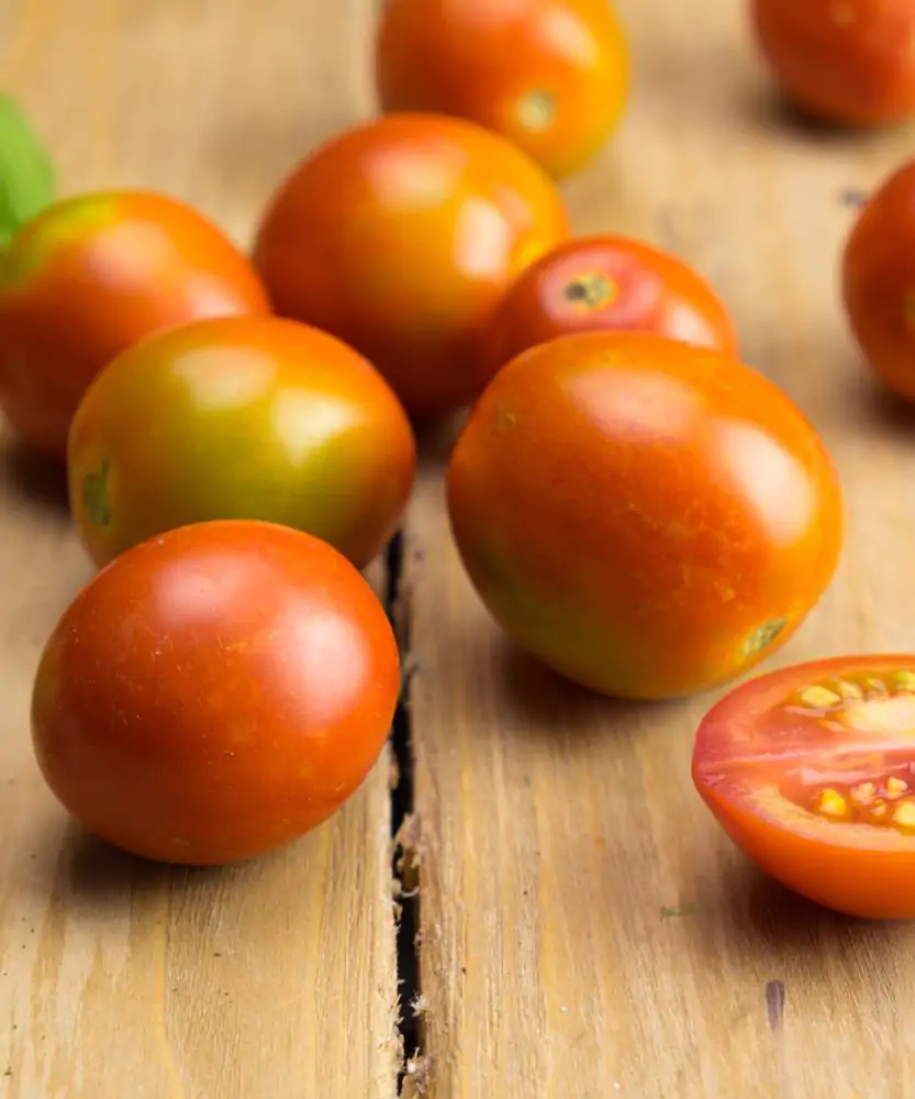 Foto Pomodoro colonna 