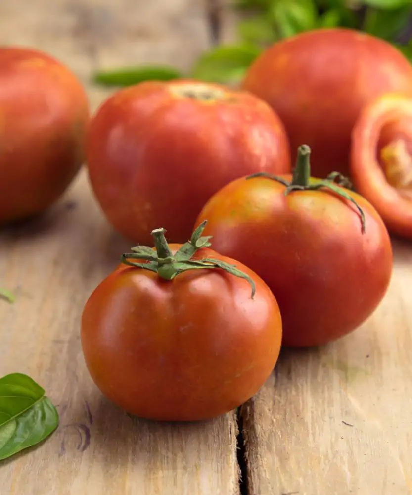Foto Pomodoro tondo liscio BIO
