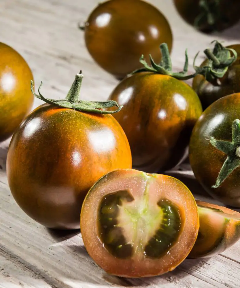 Foto Pomodoro tondo scuro 