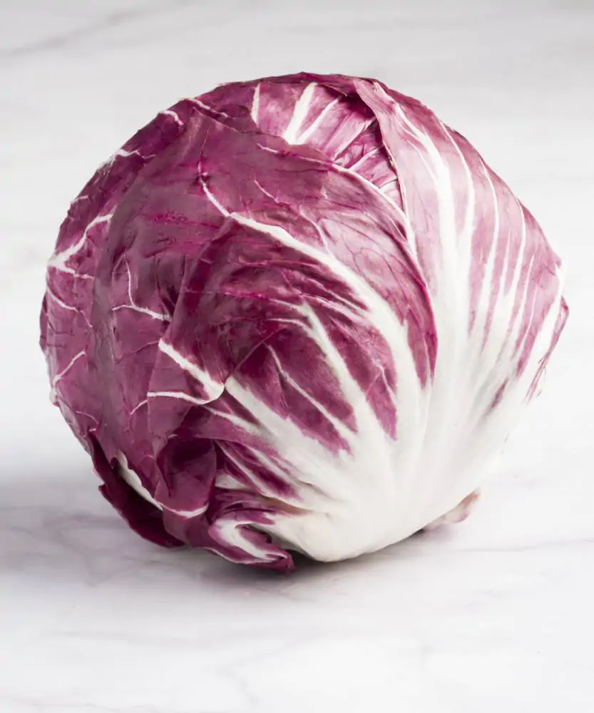 Foto Radicchio tondo 