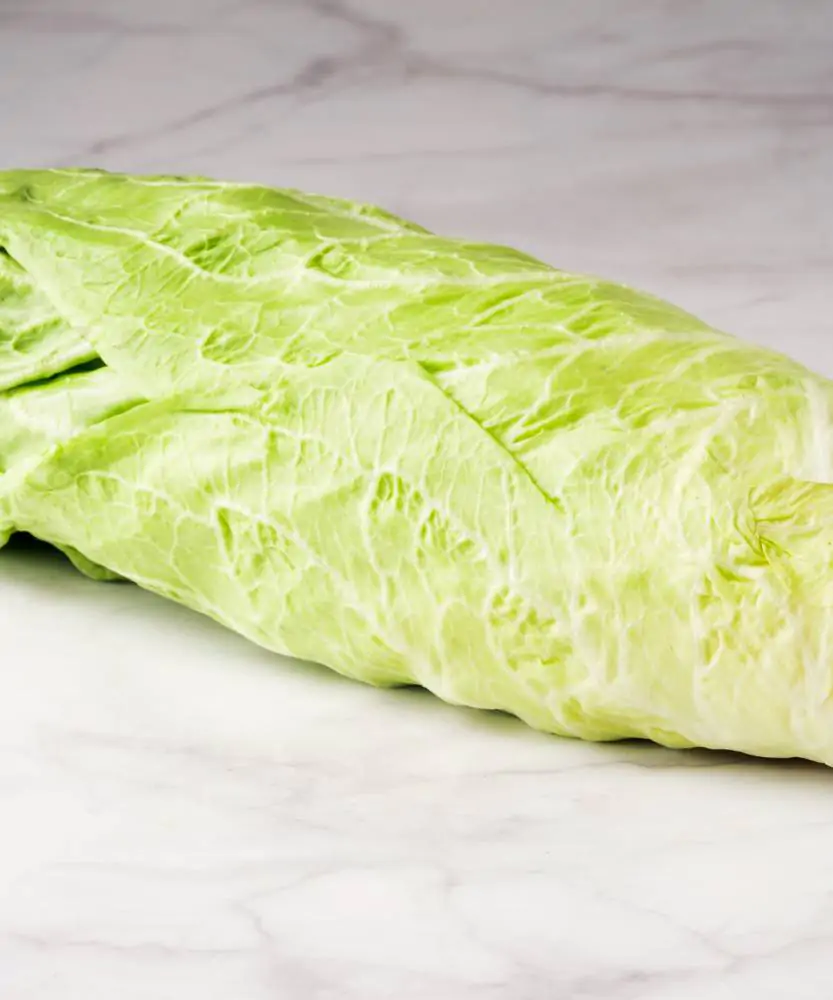 Foto Radicchio Pan di Zucchero 