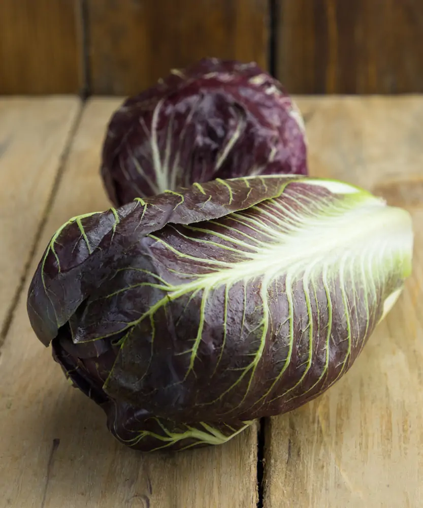 Foto Radicchio tondo 