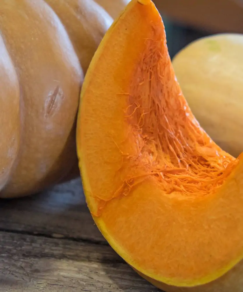 Foto Zucca moscata di Provenza BIO 