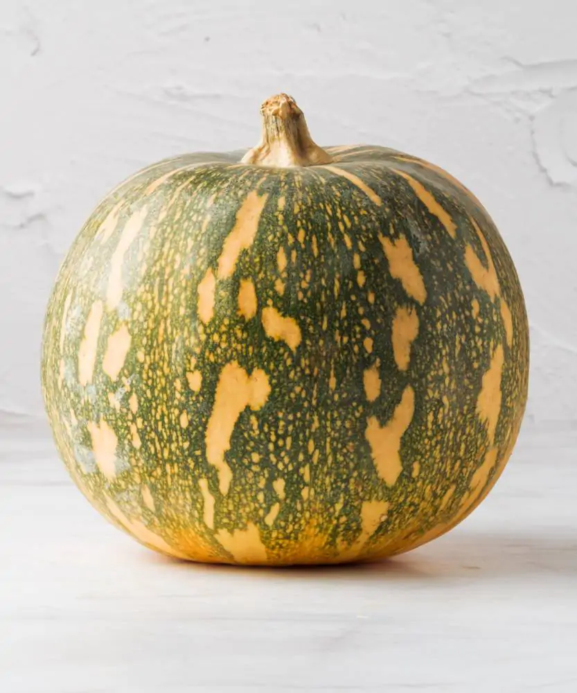 Foto Zucca Moscata 
