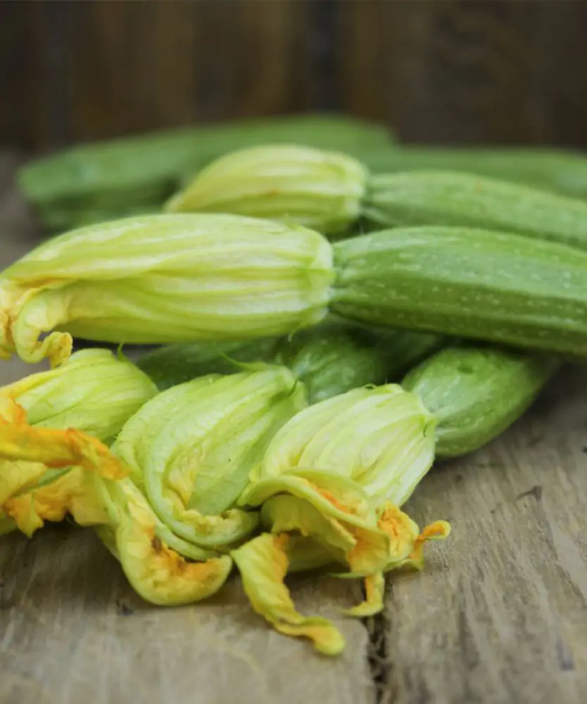 Foto Zucchine romanesche 