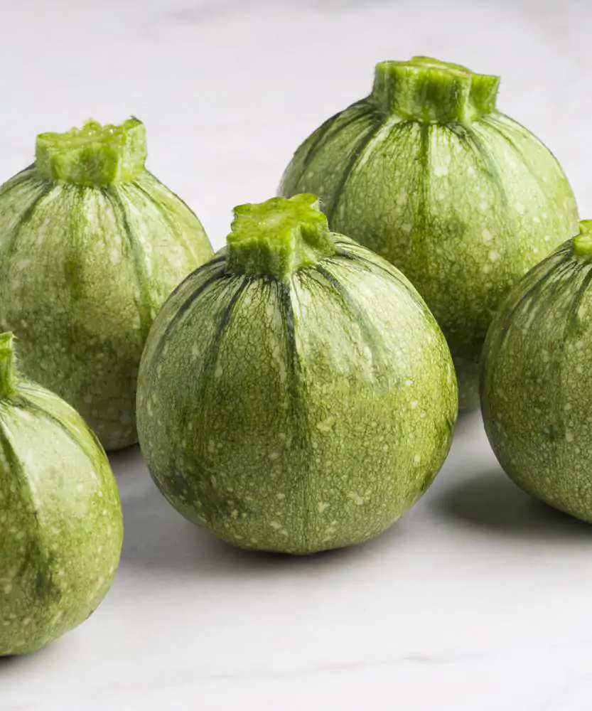 Foto Zucchine tonde BIO 