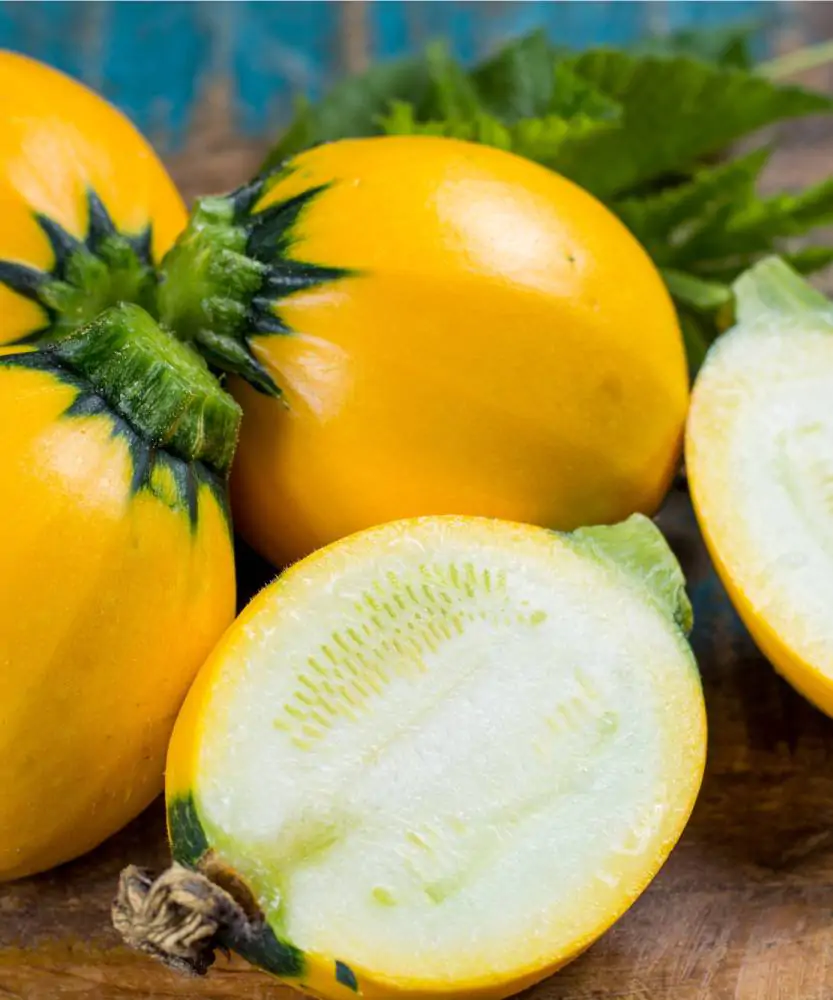 Foto Zucchine tonde gialle 