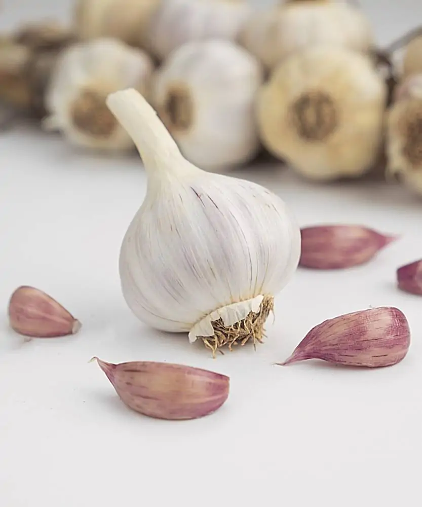 Foto Aglio Rosso di Castelliri al pezzo