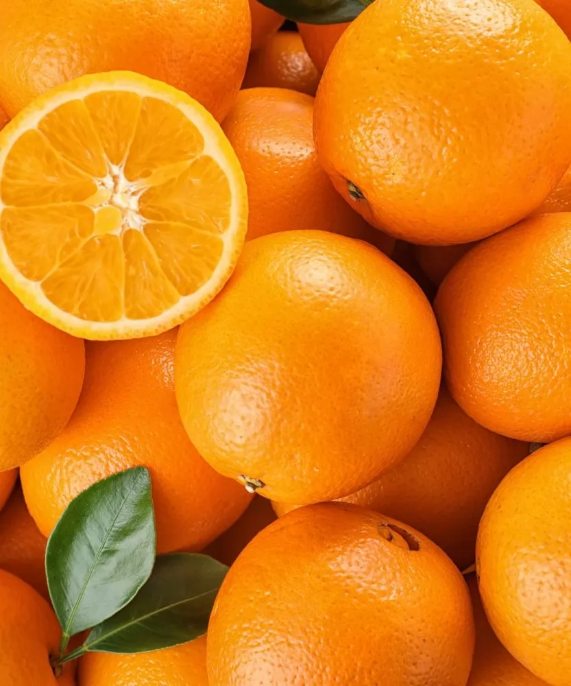 Foto Arance Navel della Calabria BIO 3,5Kg