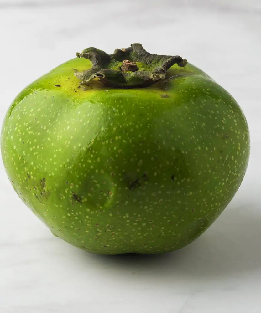 Foto Black Sapote della Sicilia 