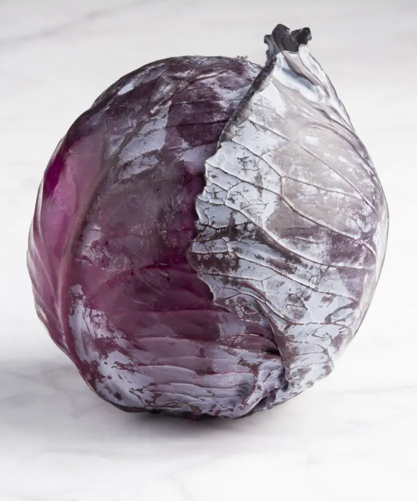 Foto Cavolo Cappuccio viola BIO