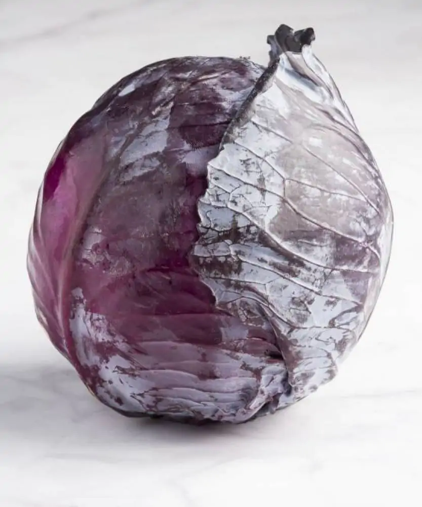 Foto Cavolo Cappuccio viola