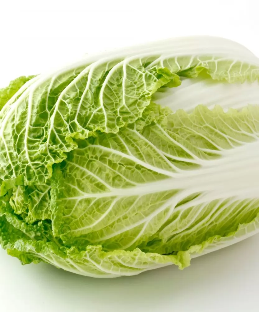 Foto Cavolo cinese Pe-Tsai 