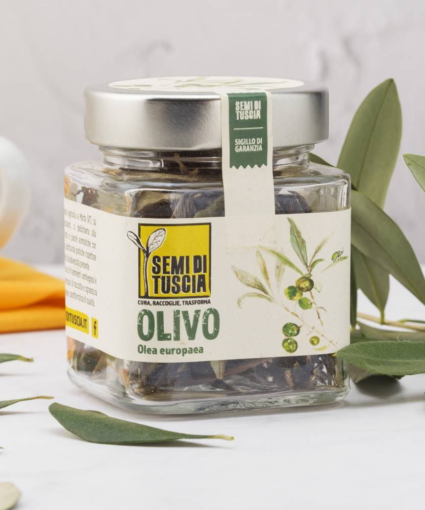 Foto Infuso di foglie di olivo 