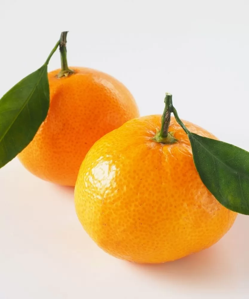 Foto Mandarini della Calabria BIO 