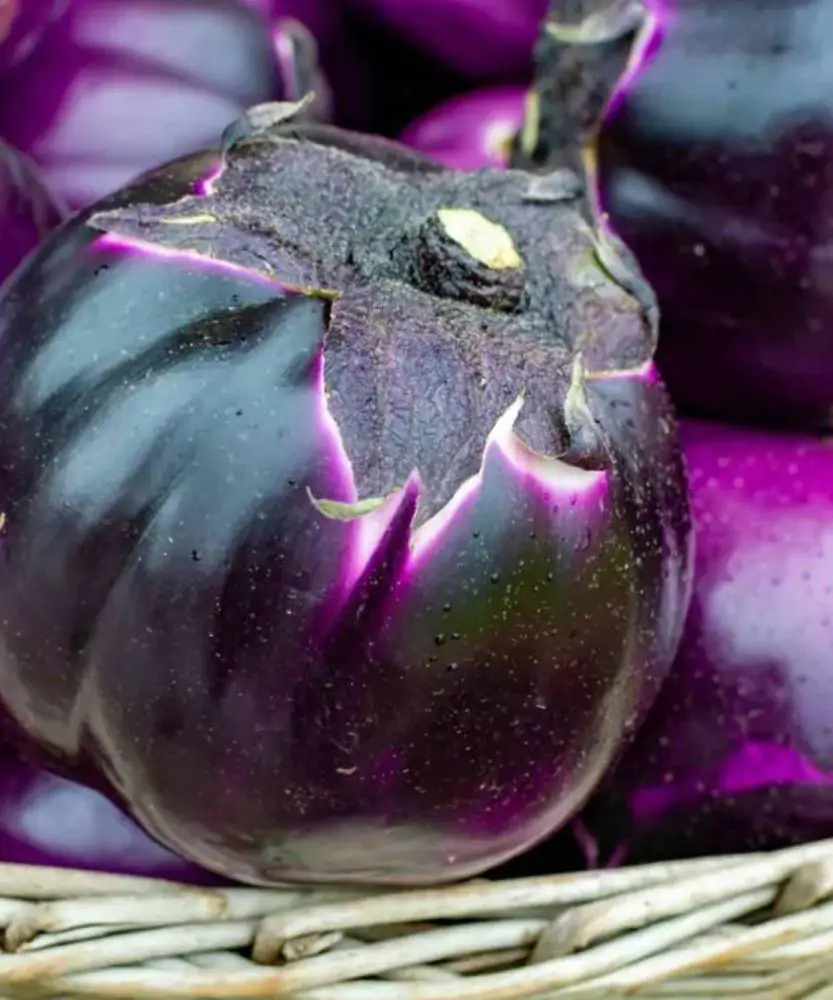 Foto Melanzane viola tonde 